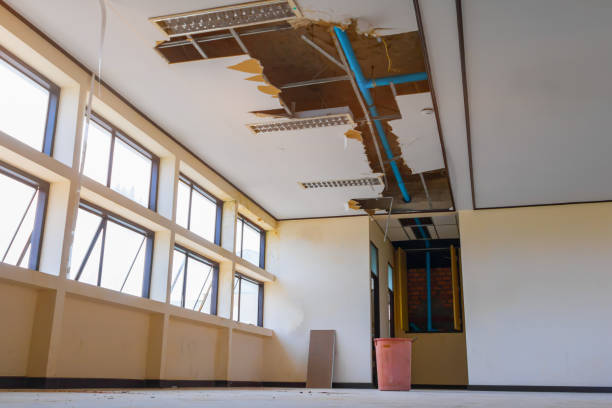 Best Ceiling water damage repair  in Iona, FL