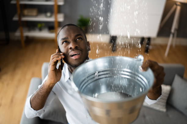 Best Sewage cleanup and water damage restoration  in Iona, FL