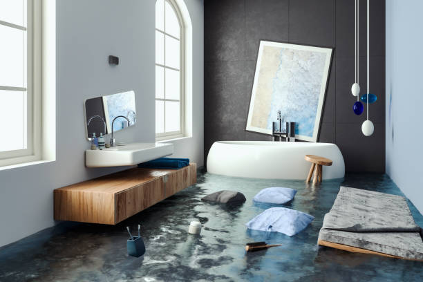 Best Flooded house restoration  in Iona, FL