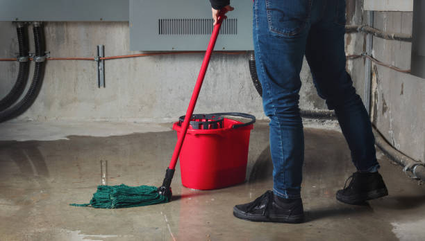 Best Carpet water damage restoration  in Iona, FL