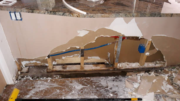 Best Mold removal after water damage  in Iona, FL