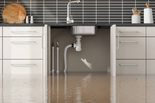 Best Water damage restoration company  in Iona, FL