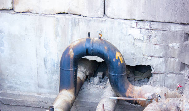 Best Water damage restoration near me  in Iona, FL