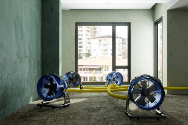 Best Flood restoration services  in Iona, FL