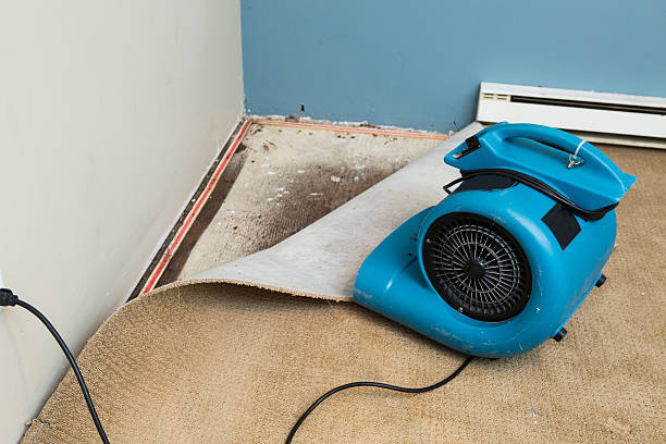 Best Commercial water damage restoration  in Iona, FL